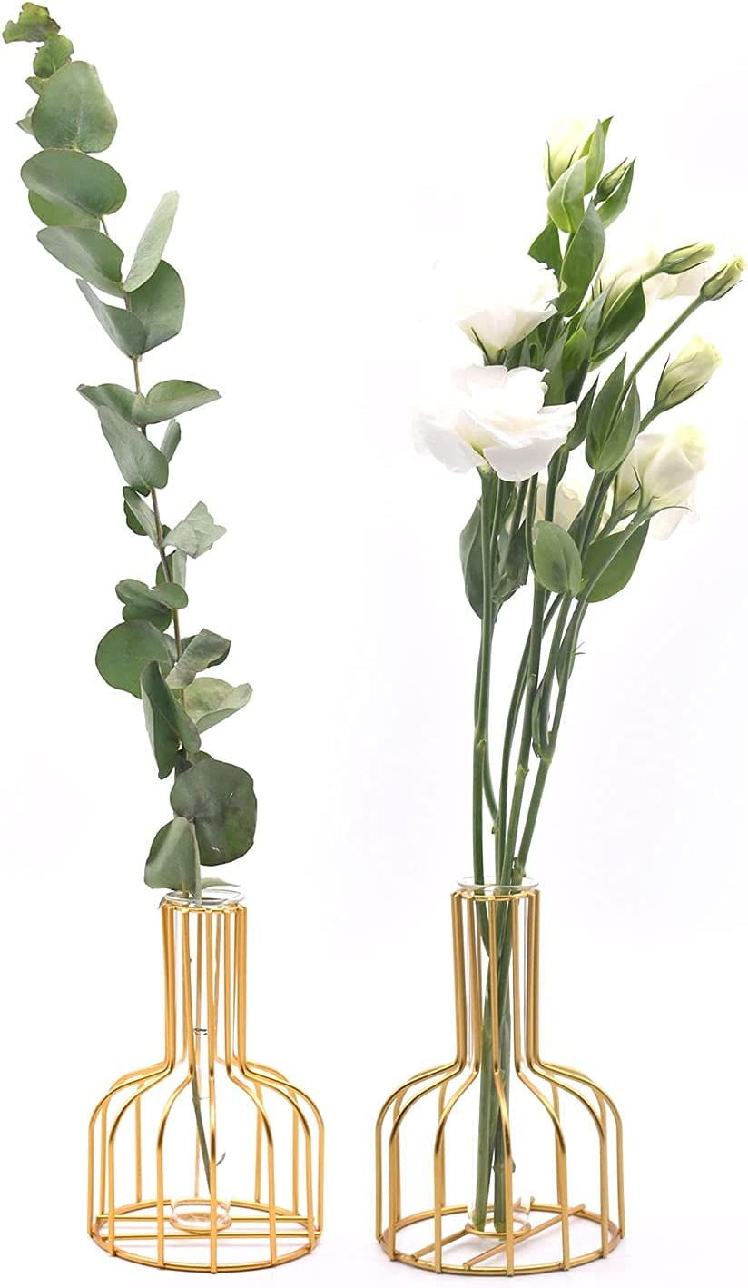 Flower Vases with Iron Art Frame, Metal Flower Vase, Test Tube Vase, Iron Art Flower Vase, Clear Vase Decorative for Living Room Wedding Holiday Party